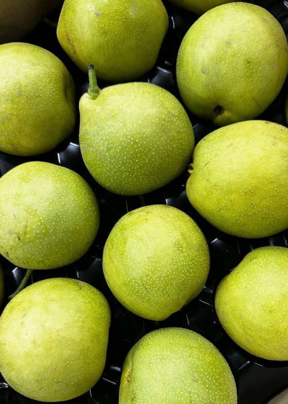 Nashi Pear (2pcs)