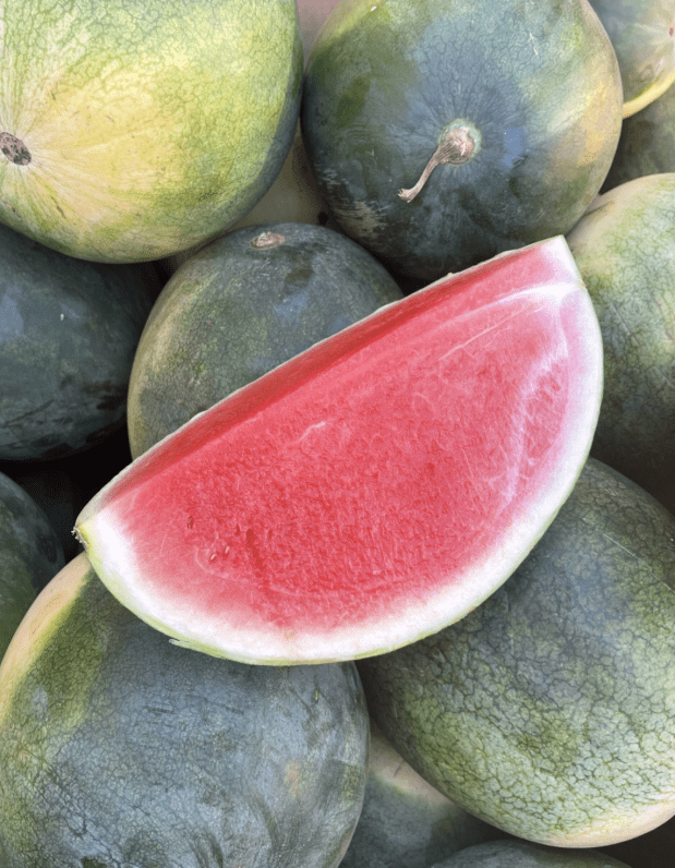 Watermelon (Qtr)