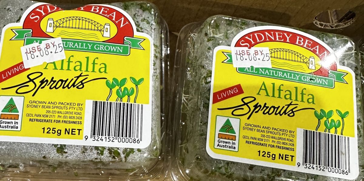 Alfalfa Sprouts (Punnet)