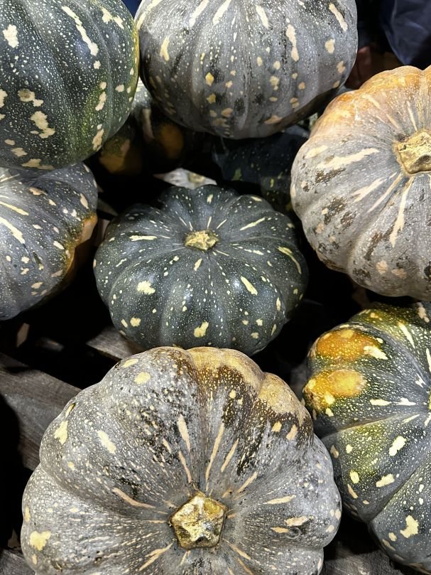 Pumpkin - Jap (Qtr)