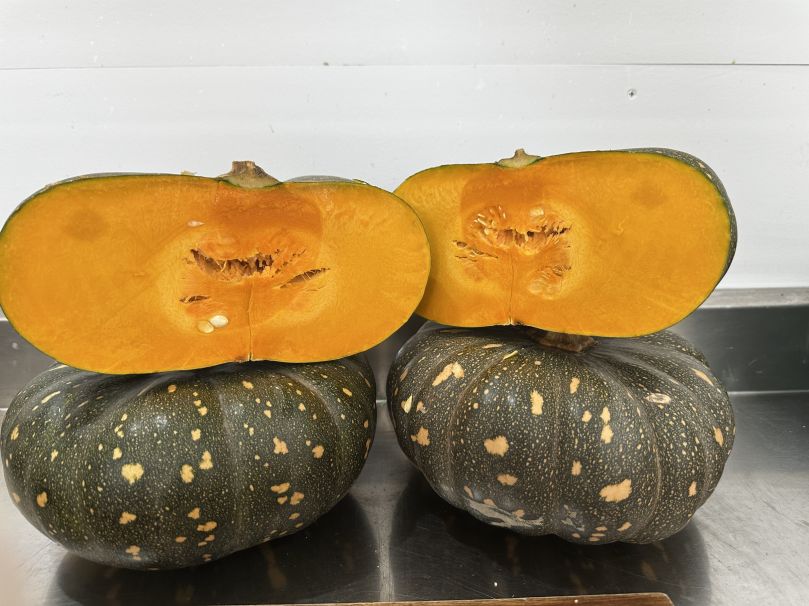 Pumpkin - Jap (Qtr)