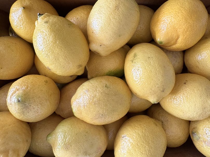 Lemons (Each)