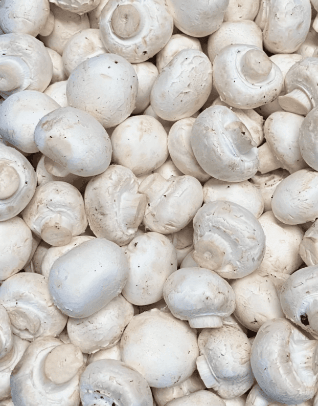 Mushroom - Button (min. 250g)