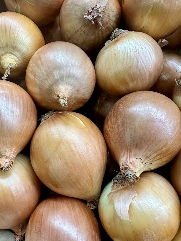 Onion - Brown (Each)
