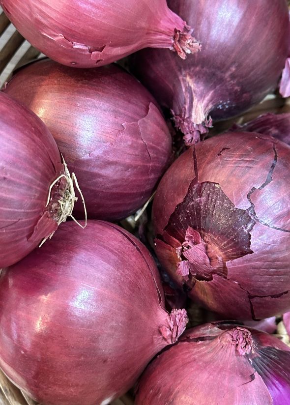 Onion - Red (Each)