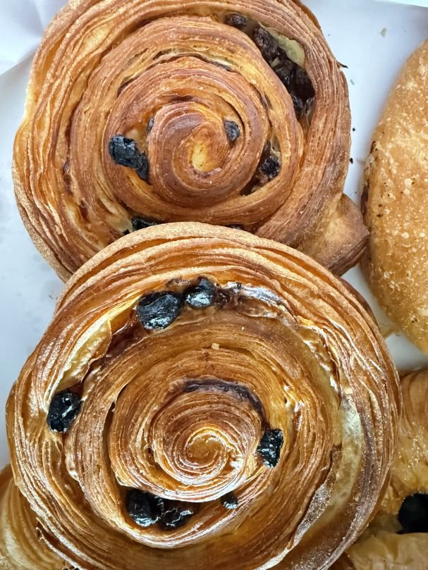 Raisin Snail (Each)