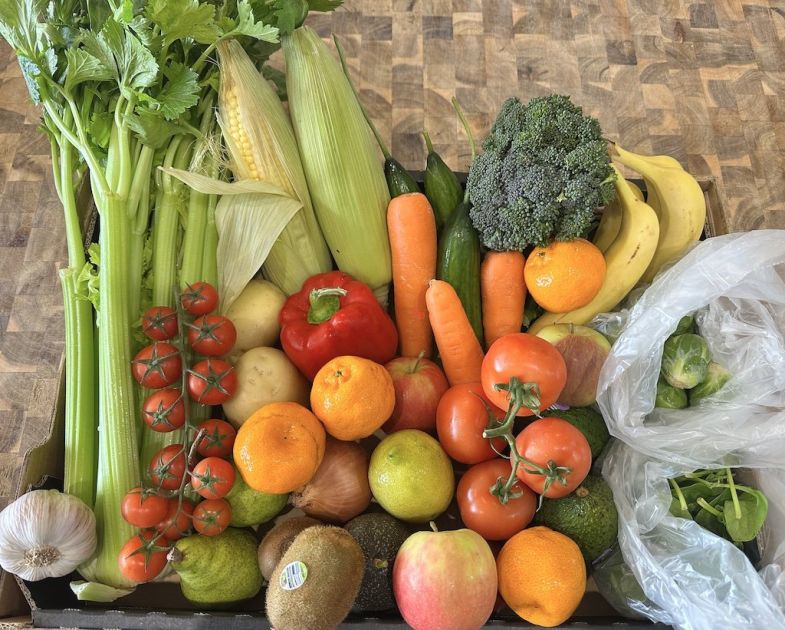 Excess Harvest Basket (Essentials size)