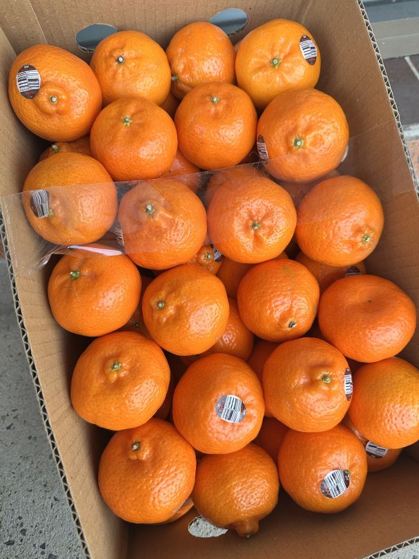 Mandarins - Red Imperial (BULK BOX)