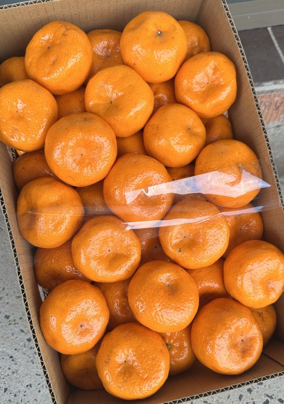 Mandarins - Imperial (BULK BOX)