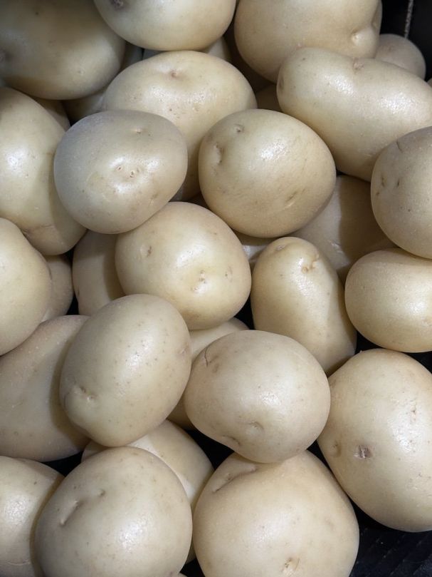Potato - Washed (500g)