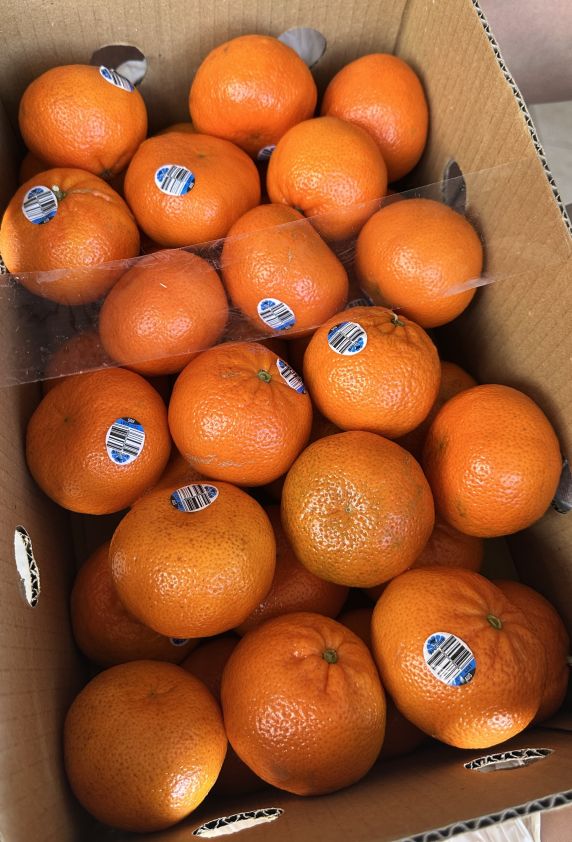 Mandarins - Afourer (BULK BOX)
