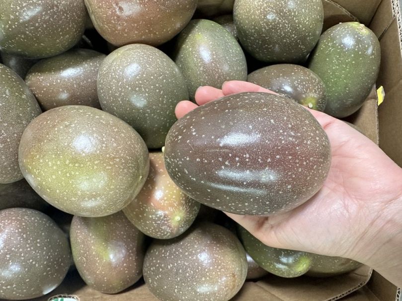 Passionfruit XL (Each)
