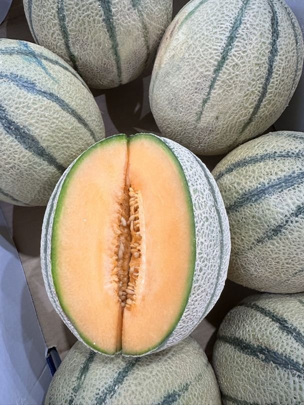 Rockmelon (Whole)