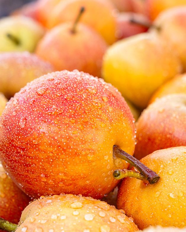 Nashi Pear - Ruby (2pcs)