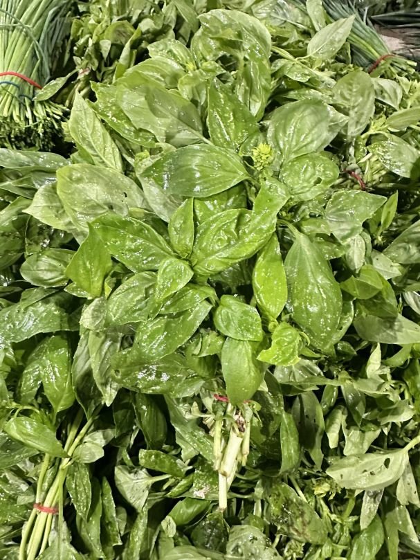 Thai Basil (Bunch)