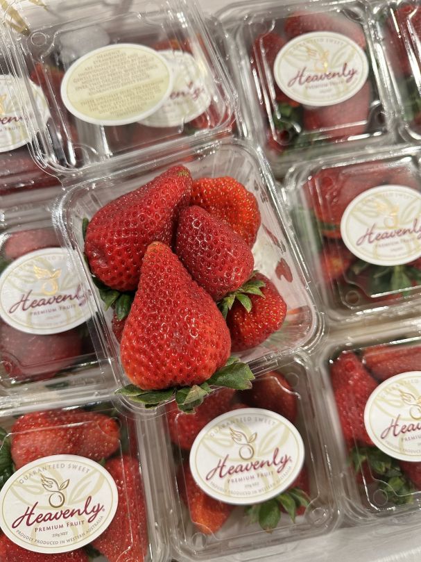 Premium Strawberries (250g Punnet)
