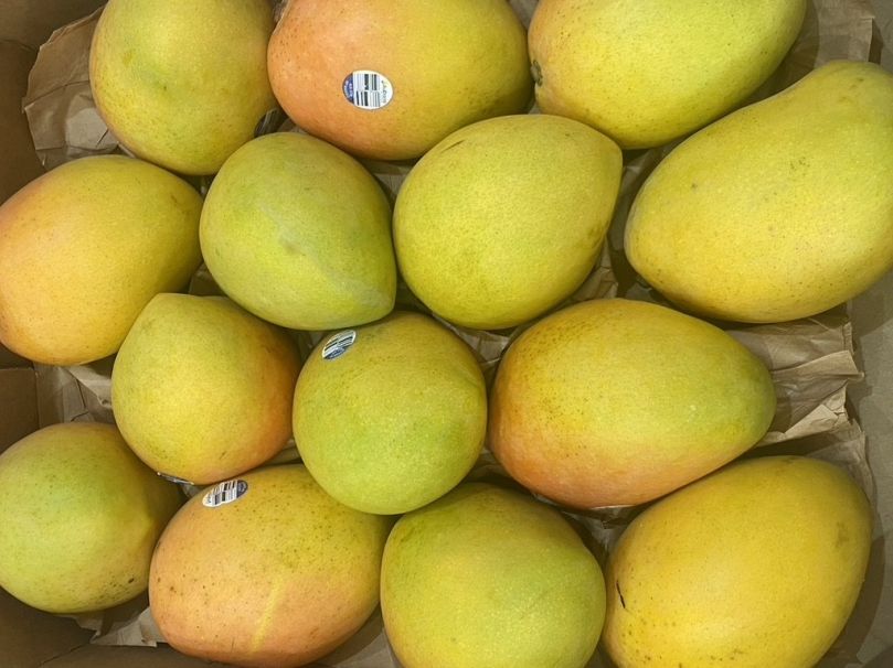 Mango - Kensington Pride (Each)