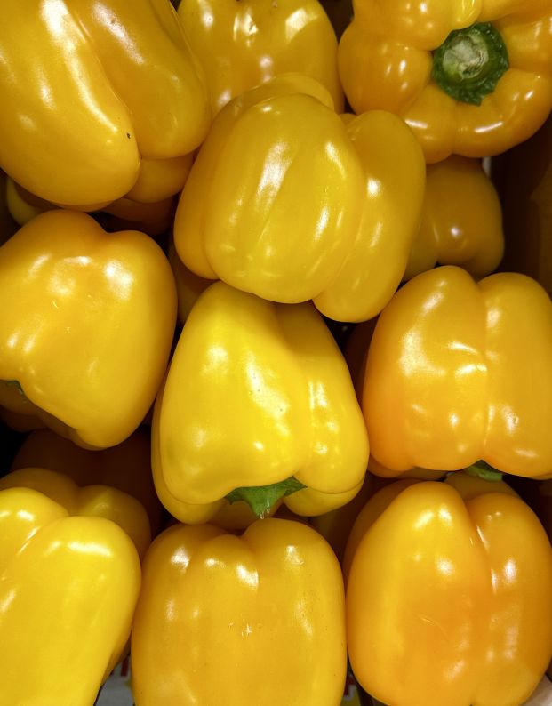 Capsicum - Yellow (Each)