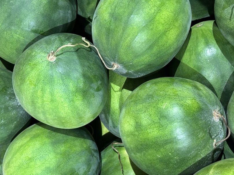 Watermelon (Whole)