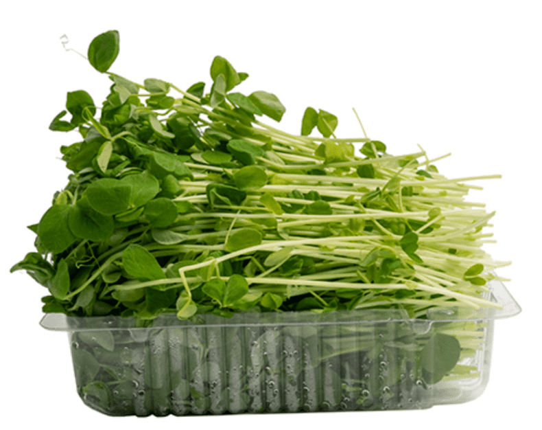 Snow Peas Sprouts (Punnet)