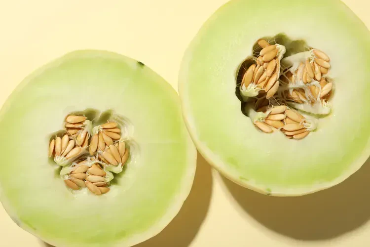 Honeydew Melon (Whole)