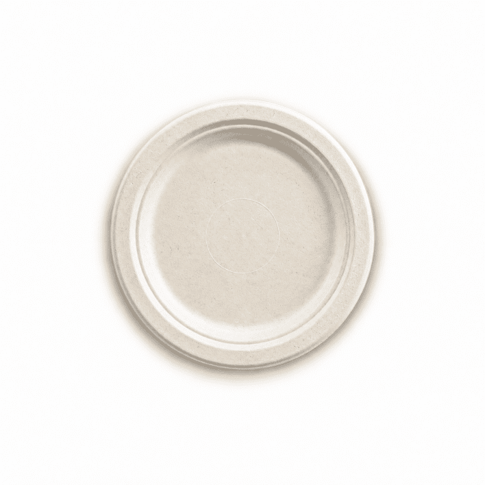 9" Sugarcane Disposable Plate