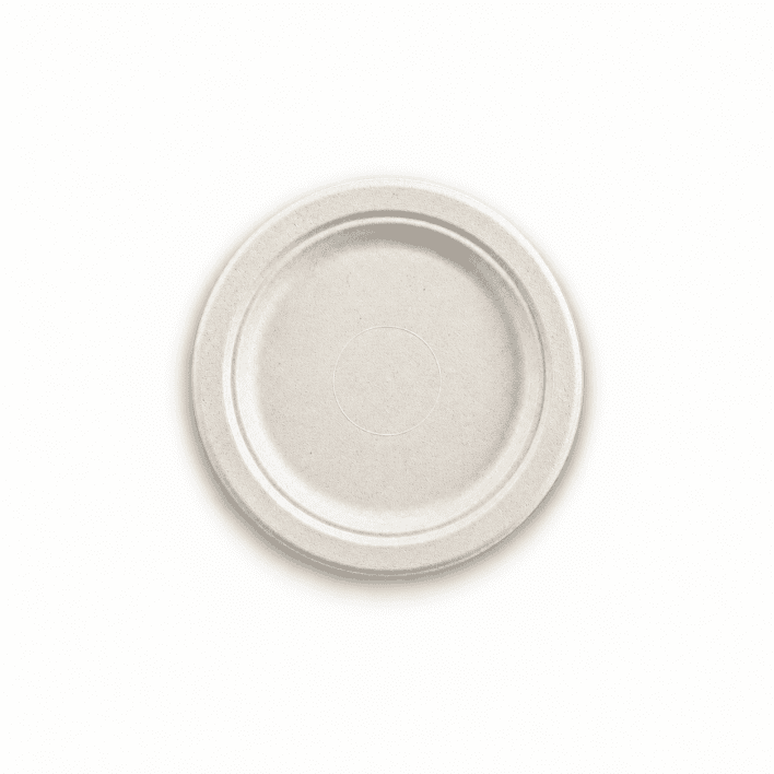 6" Sugarcane Disposable Plate