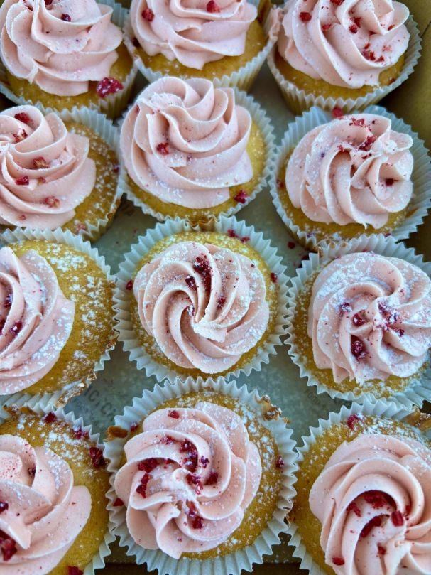 Vanilla Cupcakes