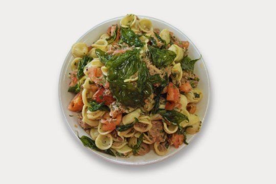 Individual Salad Range  