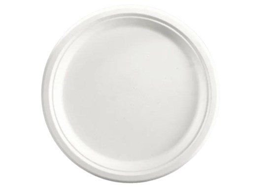 *Large Lunch Biodegradable Plate - (disposable)