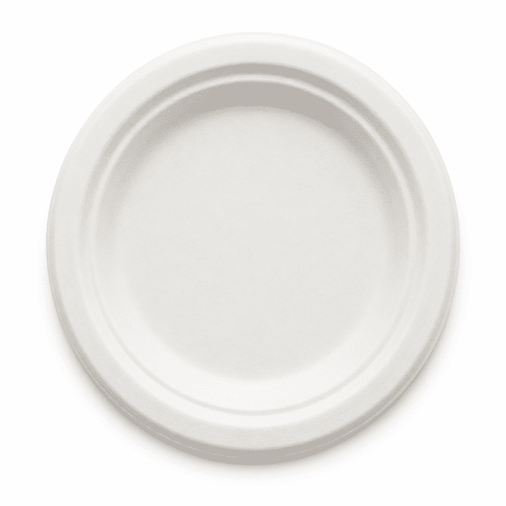 *Small Side Biodegradable Plate - (disposable)
