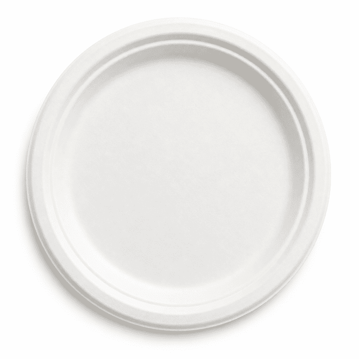 *Large Lunch Biodegradable Plate - (disposable)